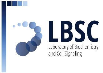 logo_LBSC